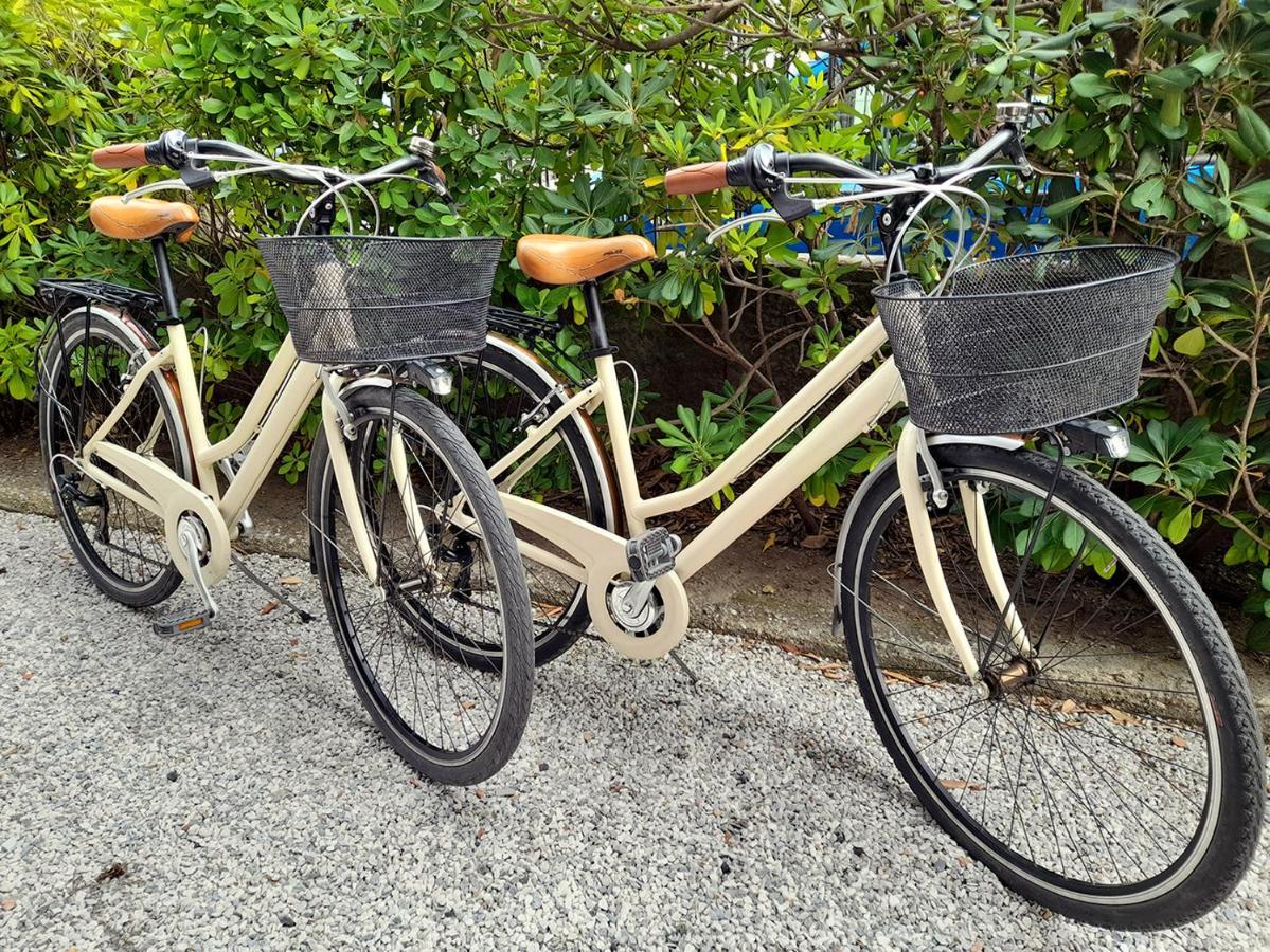 Apt luminoso, tranquillo con parcheggio e bici Viareggio Esterno foto